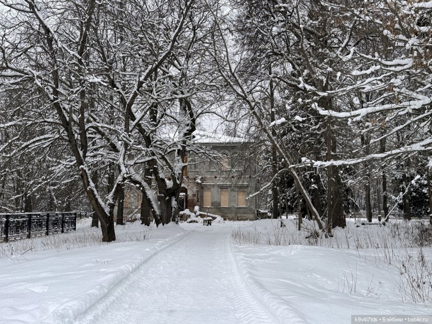 Рождественский Ангел — Куклы Sylvia Natterer (Сильвия Наттерер): Gotz (фото 2)