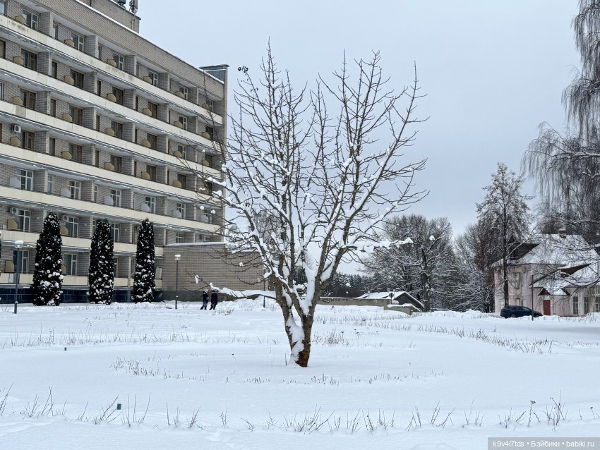 Рождественский Ангел — Куклы Sylvia Natterer (Сильвия Наттерер): Gotz