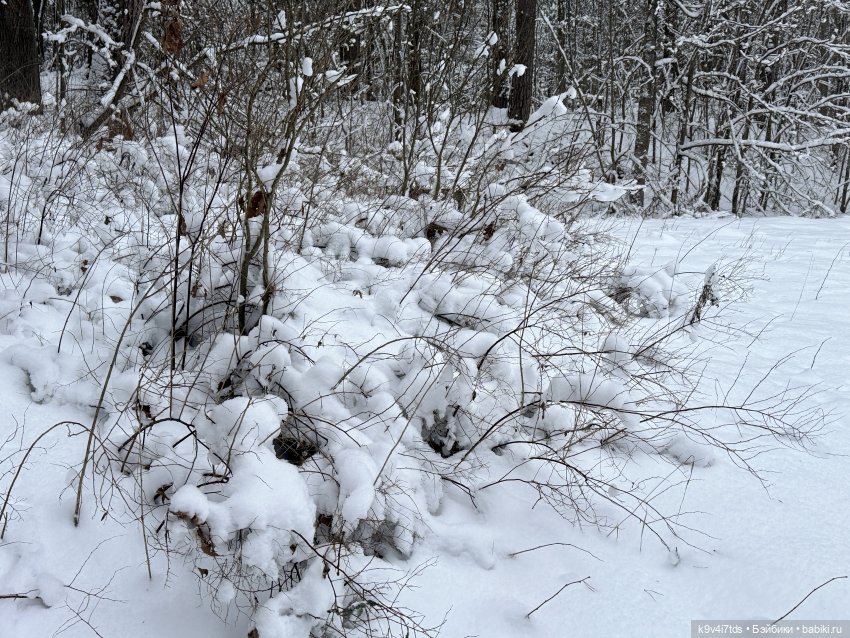 Рождественский Ангел — Куклы Sylvia Natterer (Сильвия Наттерер): Gotz