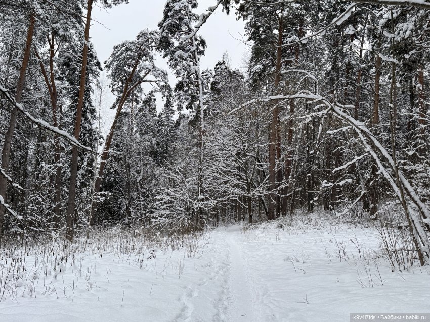 Рождественский Ангел — Куклы Sylvia Natterer (Сильвия Наттерер): Gotz