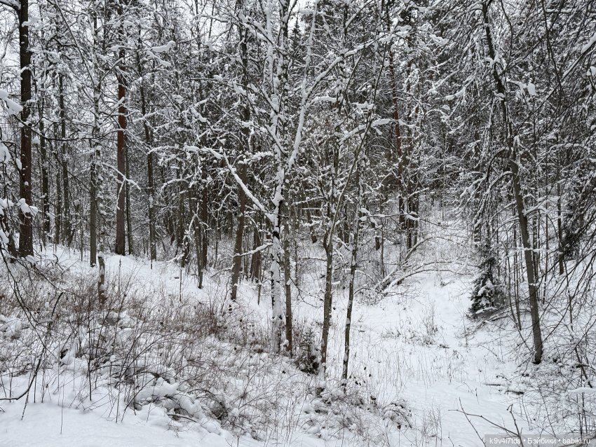 Рождественский Ангел — Куклы Sylvia Natterer (Сильвия Наттерер): Gotz (фото 10)