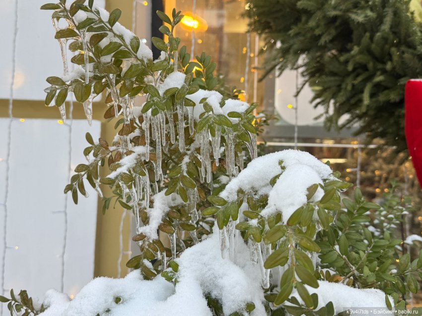 Чебурашка в городе | Бэйбики Чебурашка в городе — Игровые куклы разных производителей (Разное): редкие бренды (фото 3)