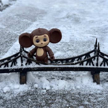 Чебурашка в городе