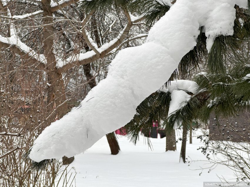 Прогулка Лоло — Авторские куклы BJD (БЖД) у нас дома: фото (фото 4)