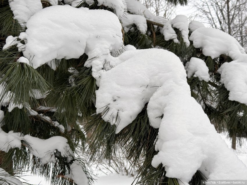 Прогулка Лоло — Авторские куклы BJD (БЖД) у нас дома: фото (фото 5)