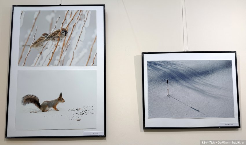 Выставка "Карнавал новогодних игрушек", город Тверь, заключительная часть