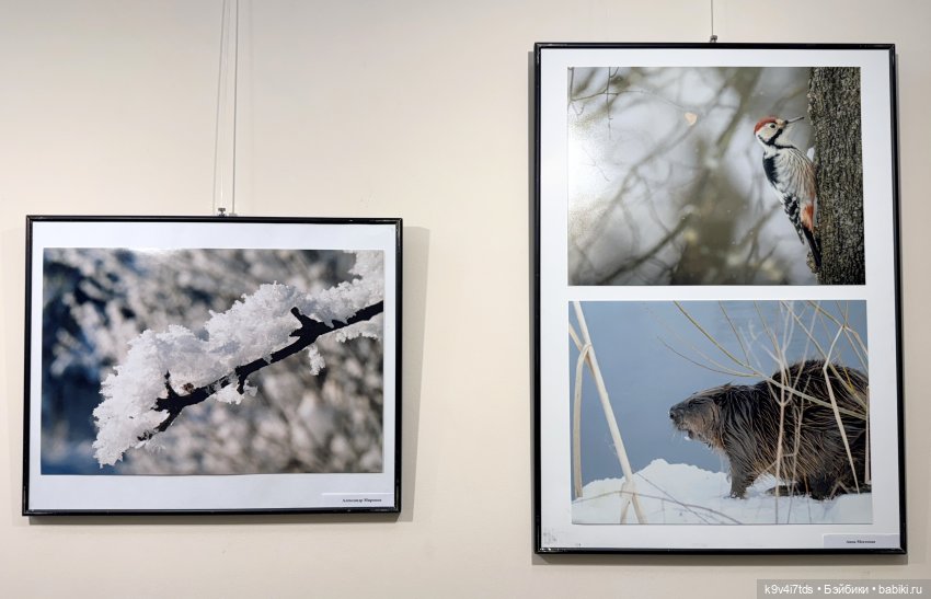 Выставка "Карнавал новогодних игрушек", город Тверь, заключительная часть