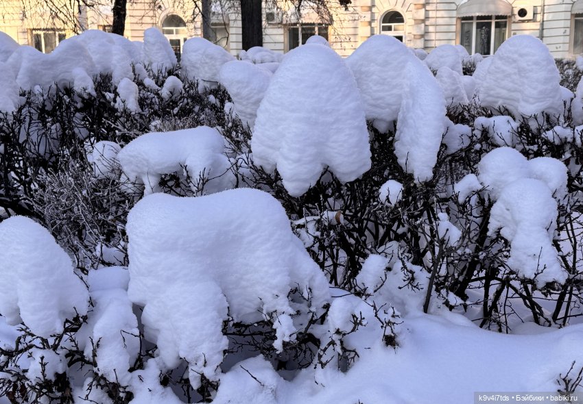 Февральский день с Ликкой