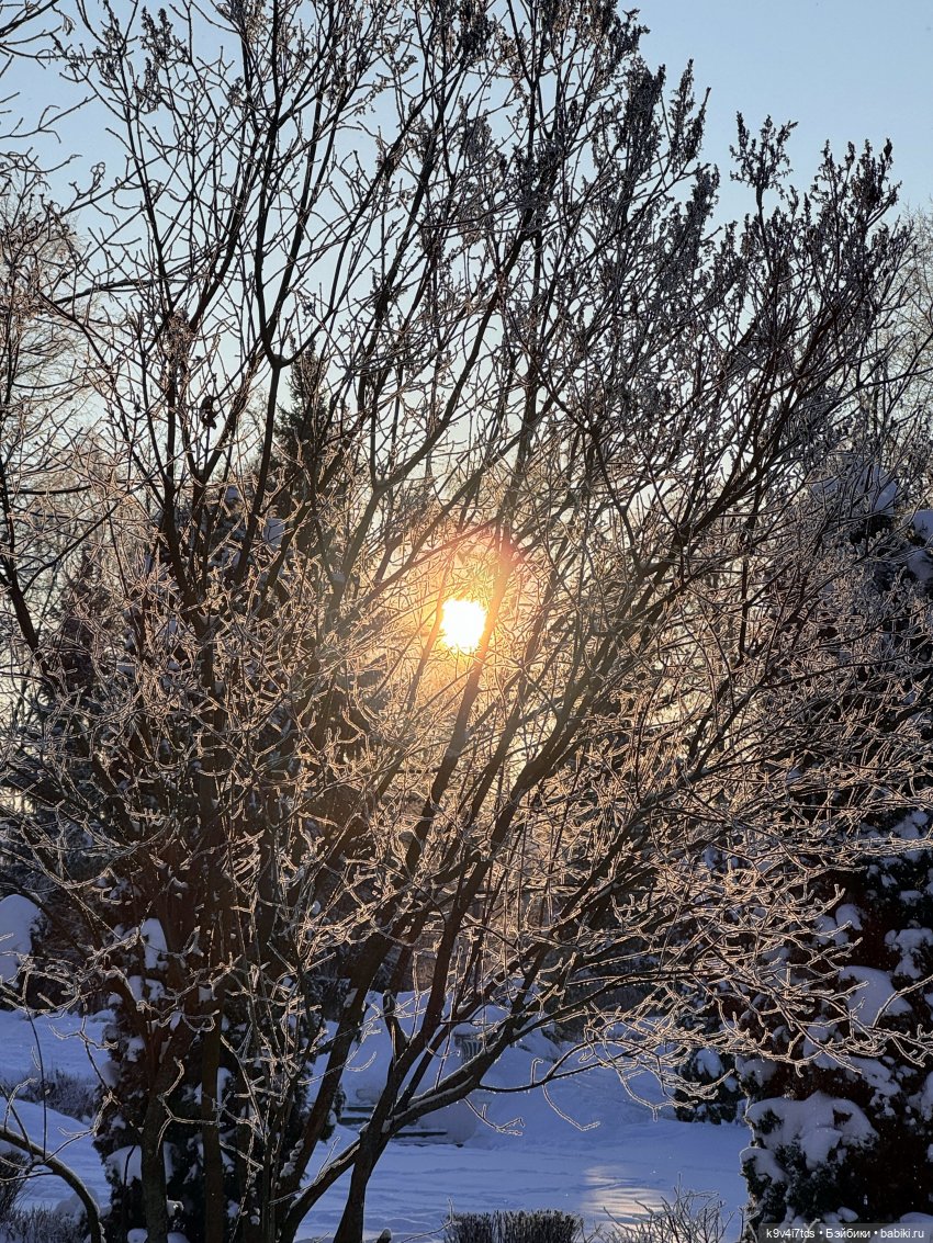 Февральский день с Ликкой