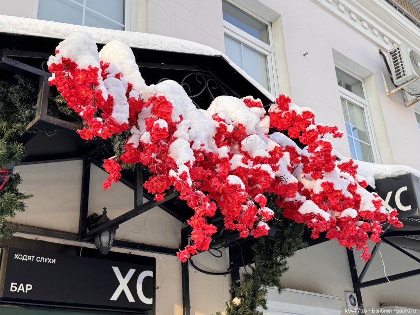 Февральский день с Ликкой