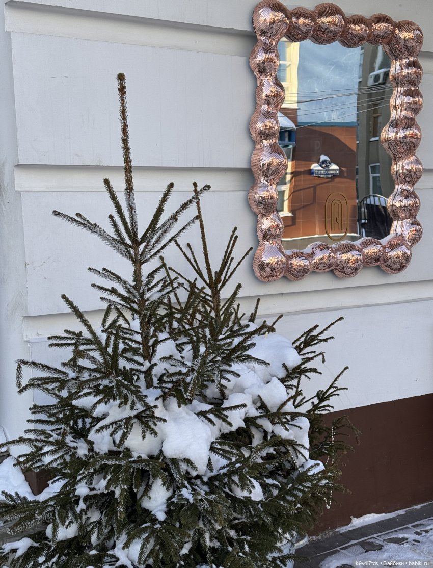 Февральский день с Ликкой