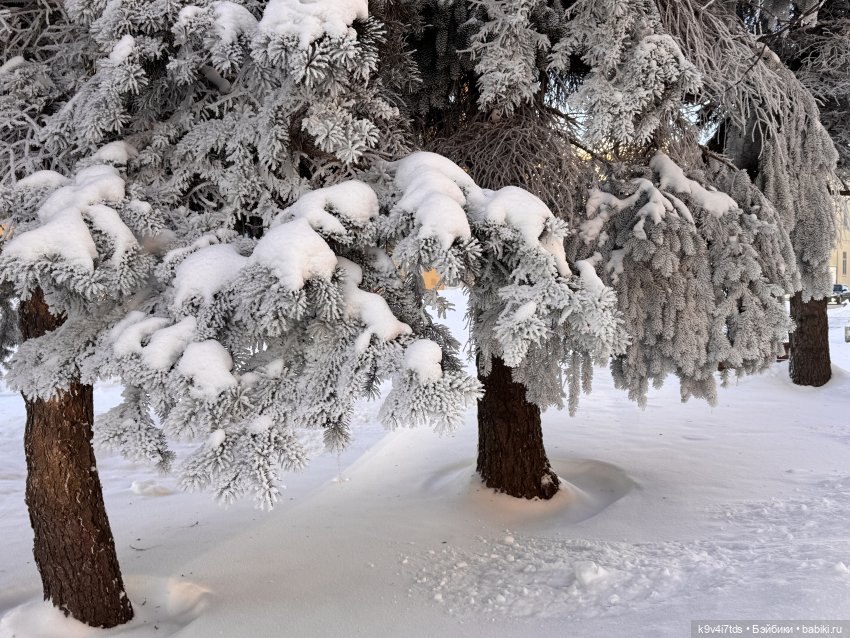 Февральский день с Ликкой