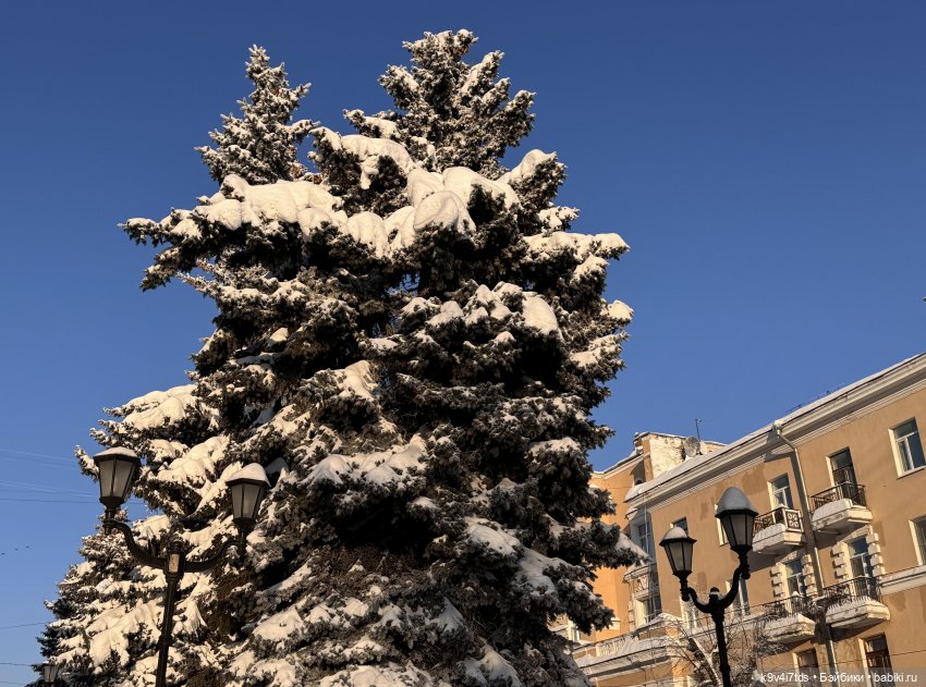 Февральский день с Ликкой