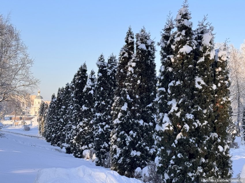 Февральский день с Ликкой