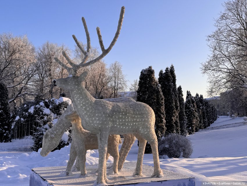 Февральский день с Ликкой