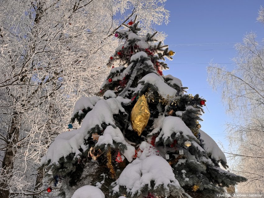 Февральский день с Ликкой (фото 8)