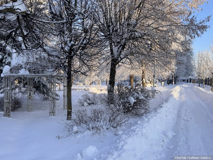 Февральский день с Ликкой