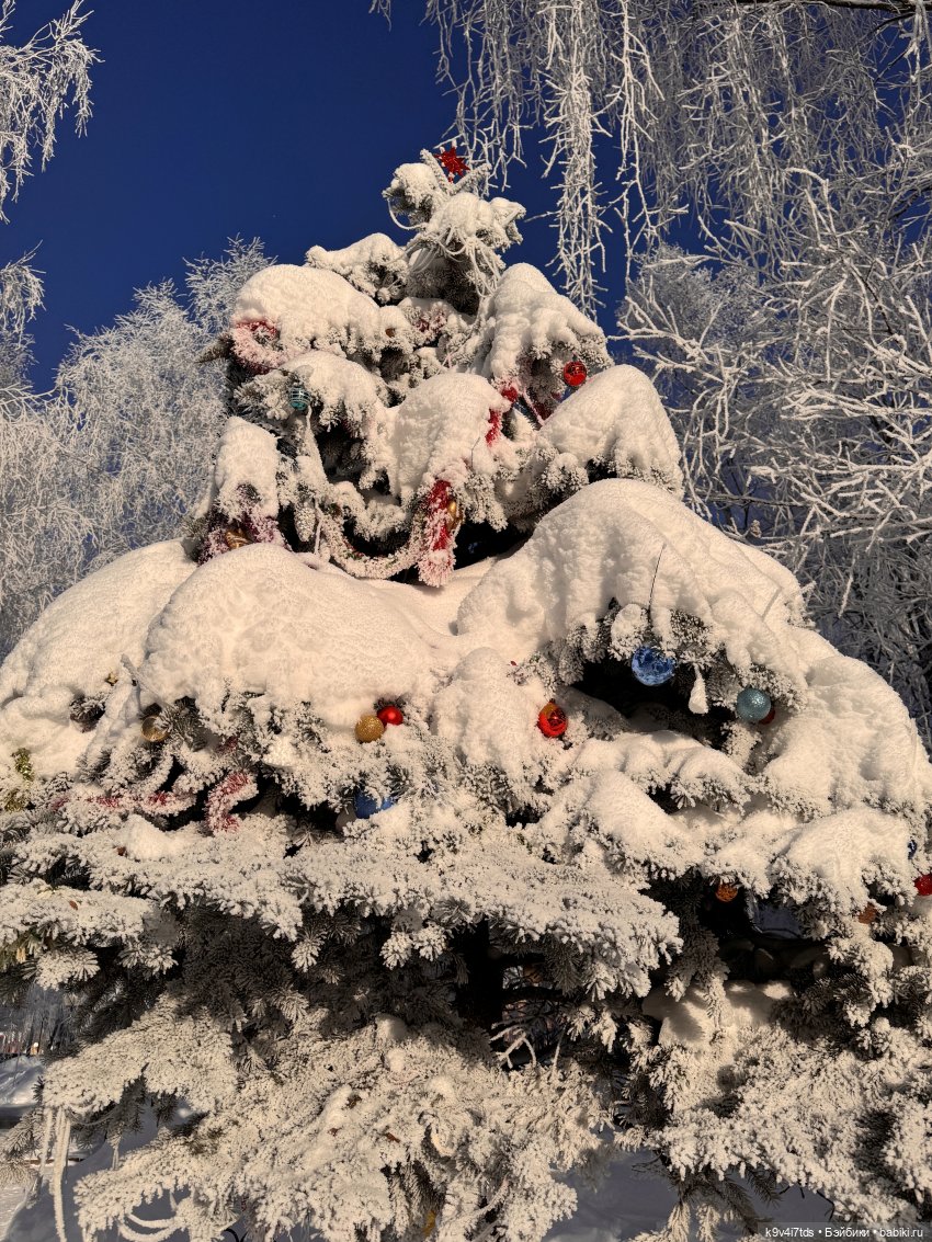 Февральский день с Ликкой (фото 6)