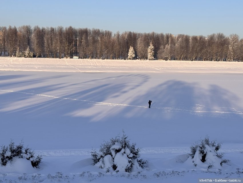Февральский день с Ликкой