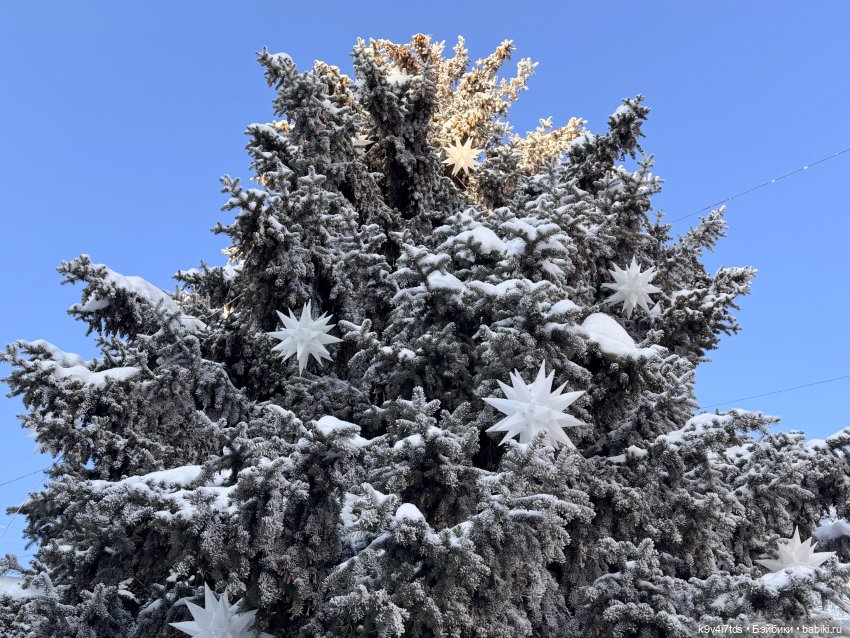 Февральский день с Ликкой