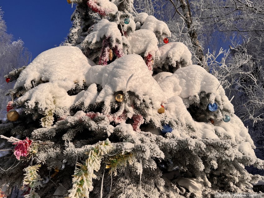 Февральский день с Ликкой (фото 7)