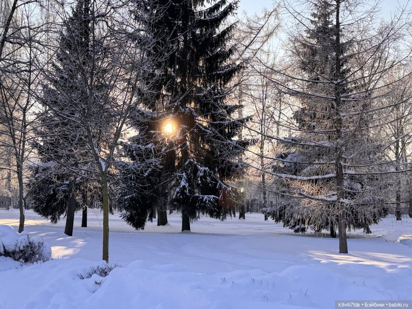 Февральский день с Ликкой