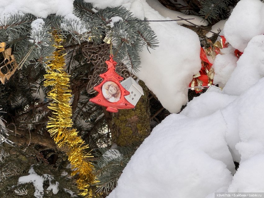 Февральский день с Ликкой (фото 9)