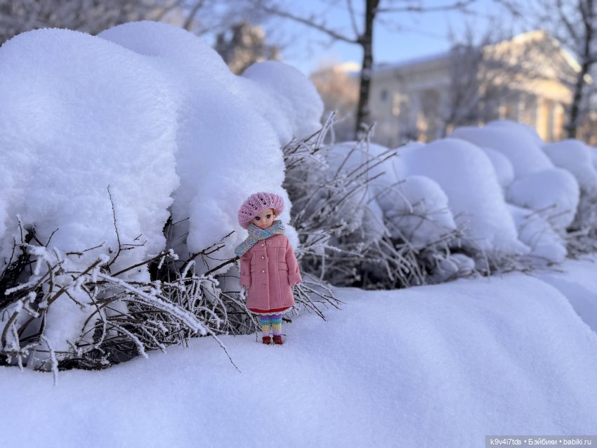 Февральский день с Ликкой