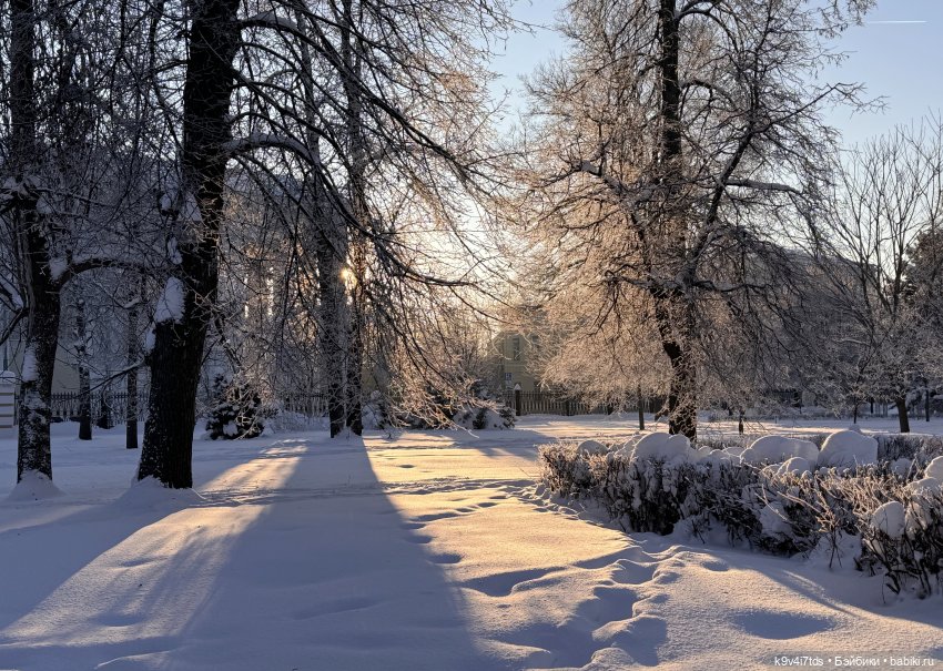 Февральский день с Ликкой