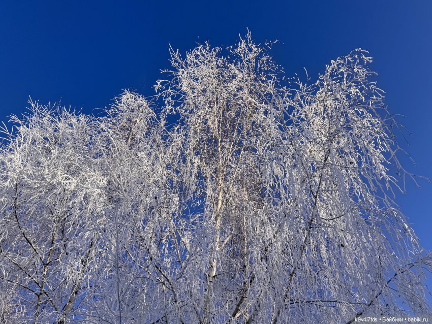 Февральский день с Ликкой