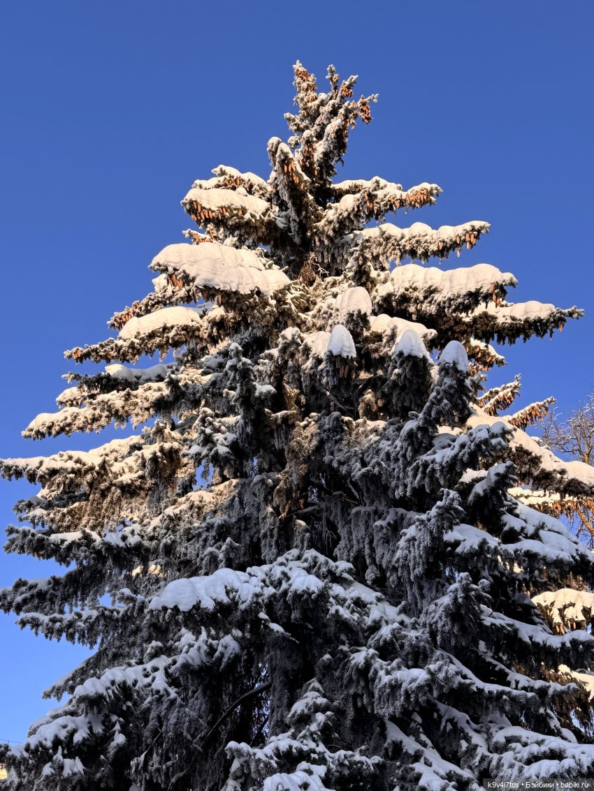 Февральский день с Ликкой