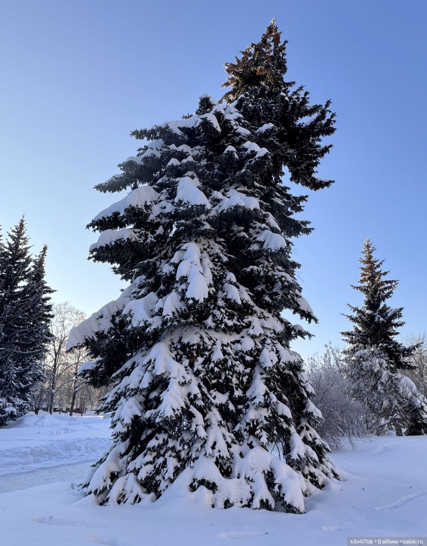 Февральский день с Ликкой
