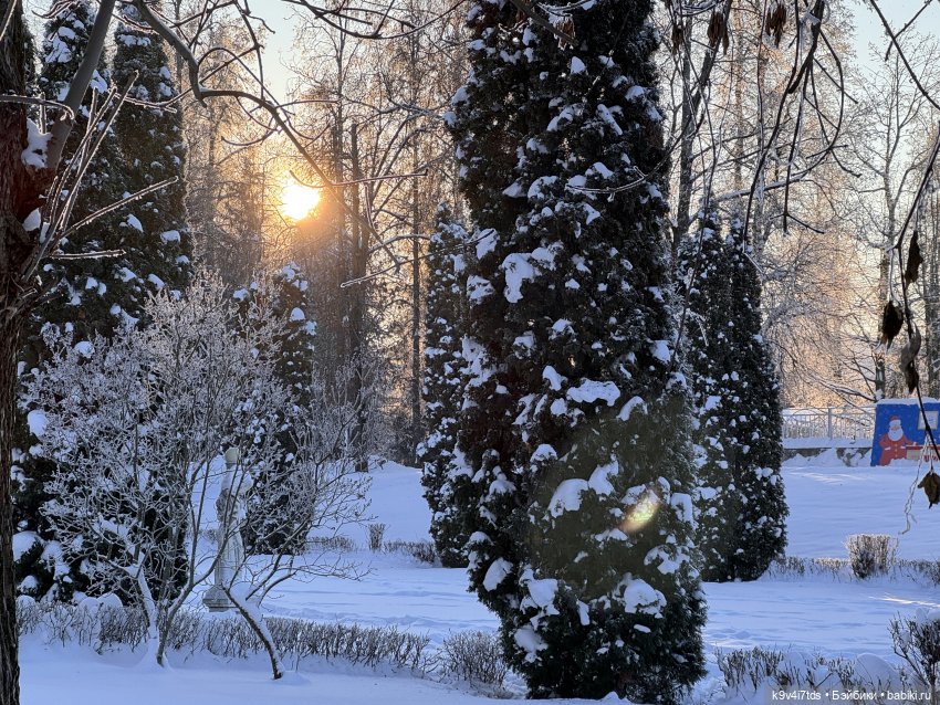 Февральский день с Ликкой