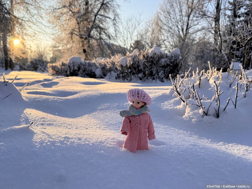 Февральский день с Ликкой