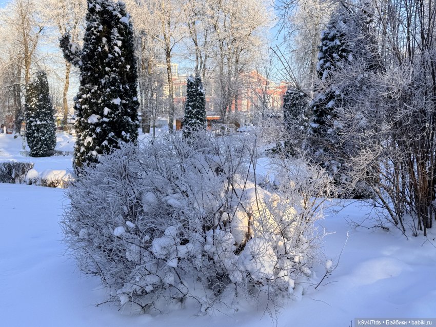 Февральский день с Ликкой