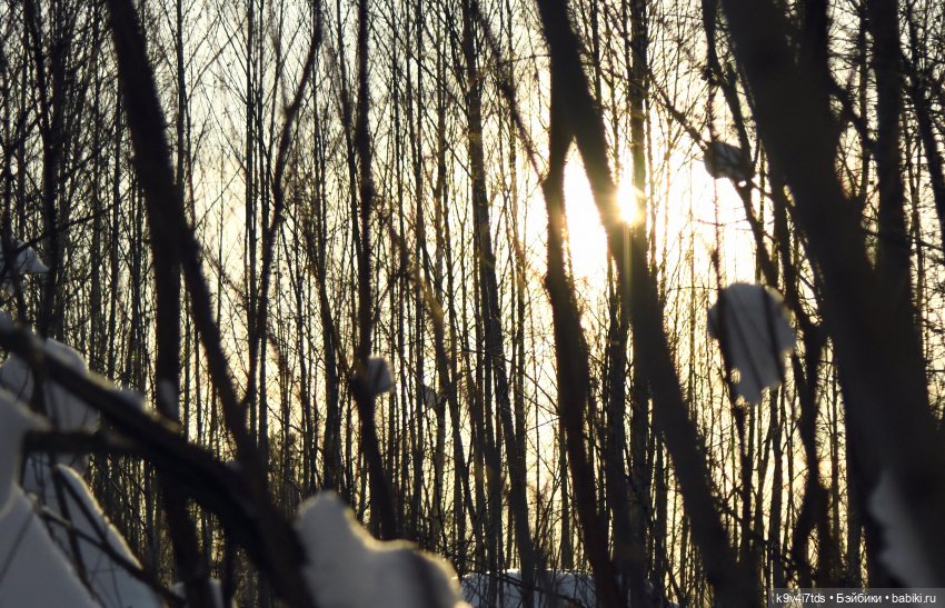 Сильвия и Водопад — Куклы Sylvia Natterer (Сильвия Наттерер): Gotz