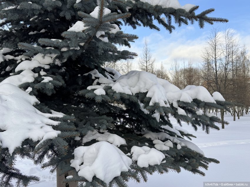 Лисята в Москве — Авторские куклы BJD (БЖД) у нас дома: фото (фото 3)