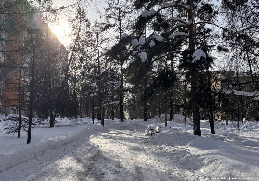 Лисята в Москве — Авторские куклы BJD (БЖД) у нас дома: фото