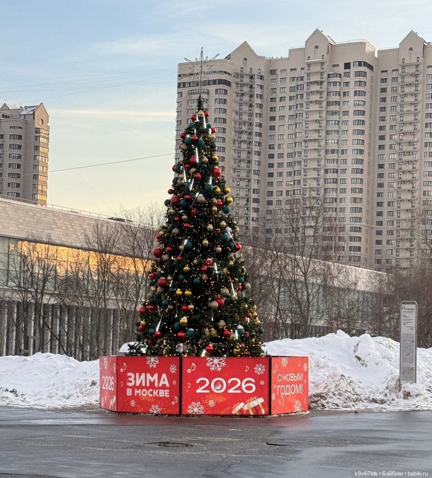 Лисята в Москве — Авторские куклы BJD (БЖД) у нас дома: фото