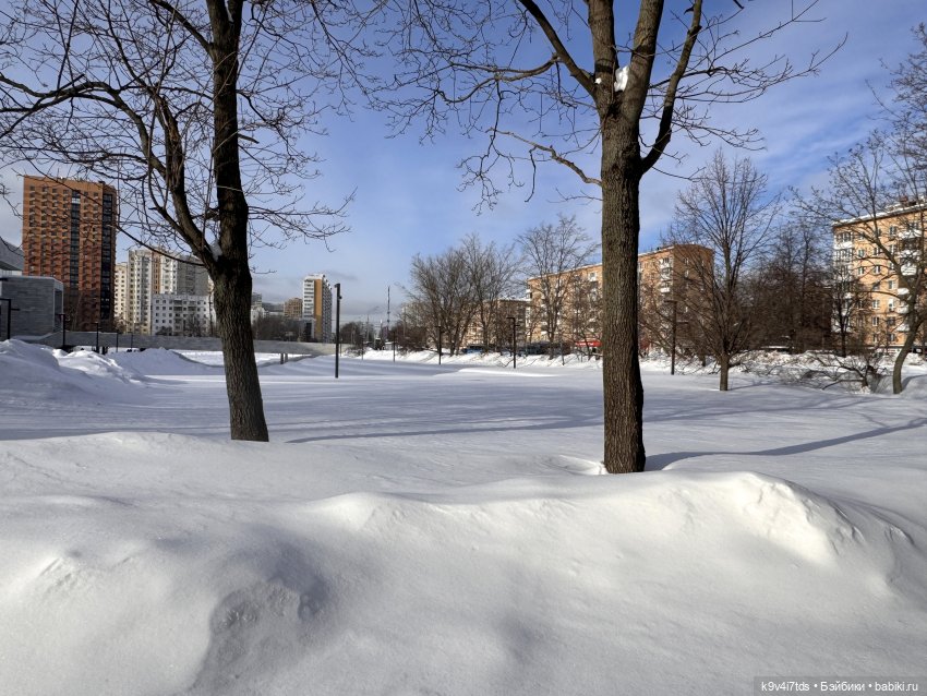 Лисята в Москве — Авторские куклы BJD (БЖД) у нас дома: фото