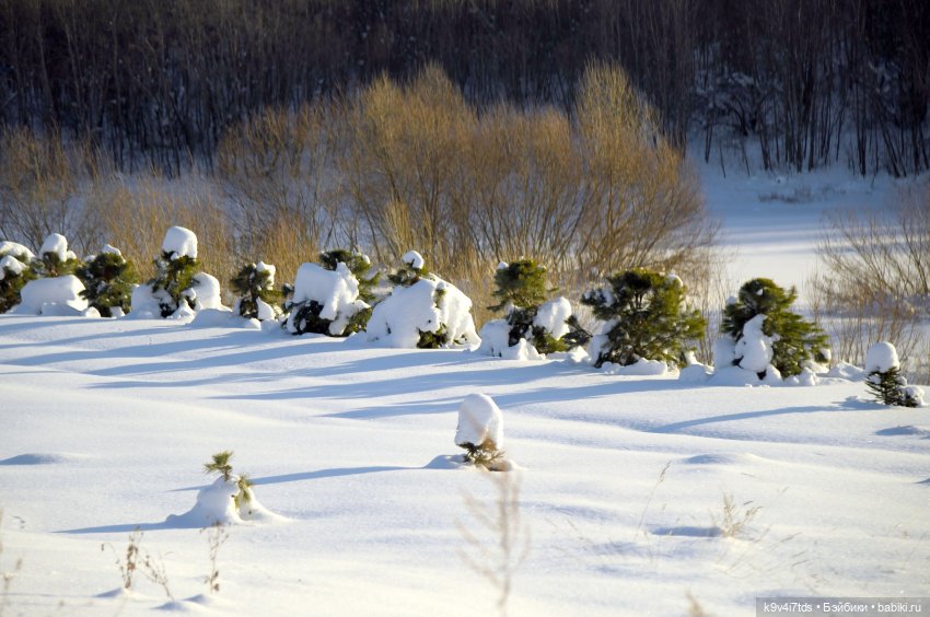 Сильвия и Водопад — Куклы Sylvia Natterer (Сильвия Наттерер): Gotz (фото 2)