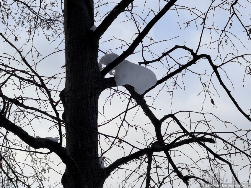 Лисята в Москве — Авторские куклы BJD (БЖД) у нас дома: фото (фото 2)