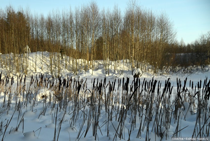 Сильвия и Водопад — Куклы Sylvia Natterer (Сильвия Наттерер): Gotz