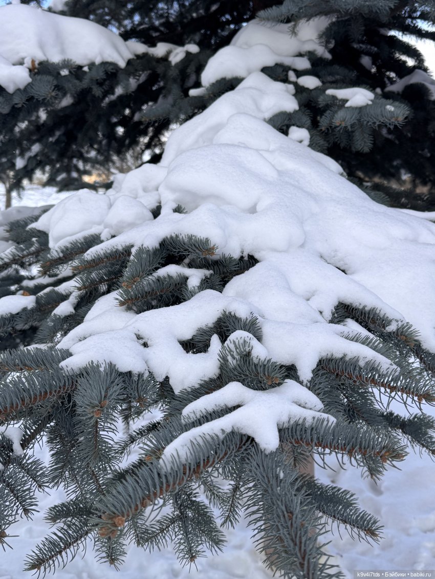 Лисята в Москве — Авторские куклы BJD (БЖД) у нас дома: фото (фото 4)