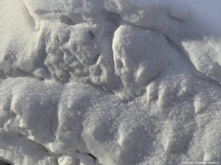 Лисята в Москве — Авторские куклы BJD (БЖД) у нас дома: фото