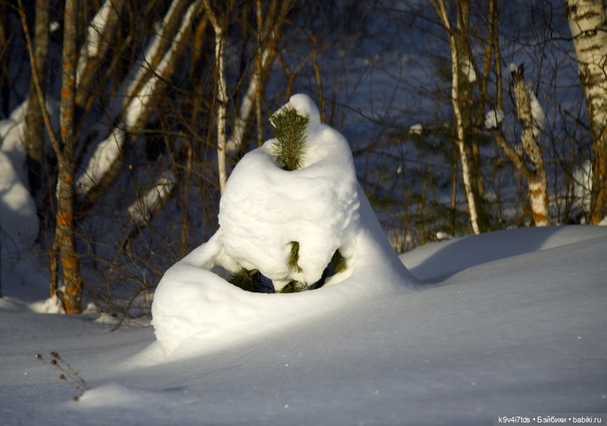 Сильвия и Водопад — Куклы Sylvia Natterer (Сильвия Наттерер): Gotz (фото 3)