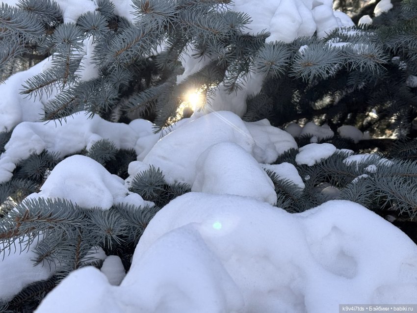 Лисята в Москве — Авторские куклы BJD (БЖД) у нас дома: фото