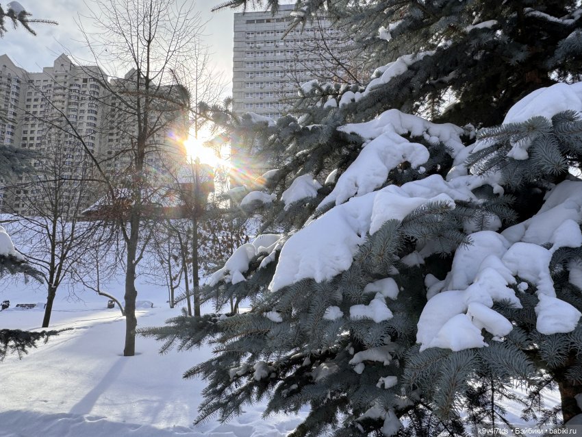 Лисята в Москве — Авторские куклы BJD (БЖД) у нас дома: фото
