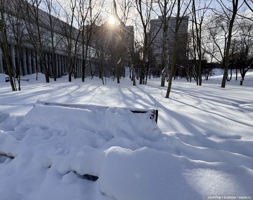 Лисята в Москве — Авторские куклы BJD (БЖД) у нас дома: фото