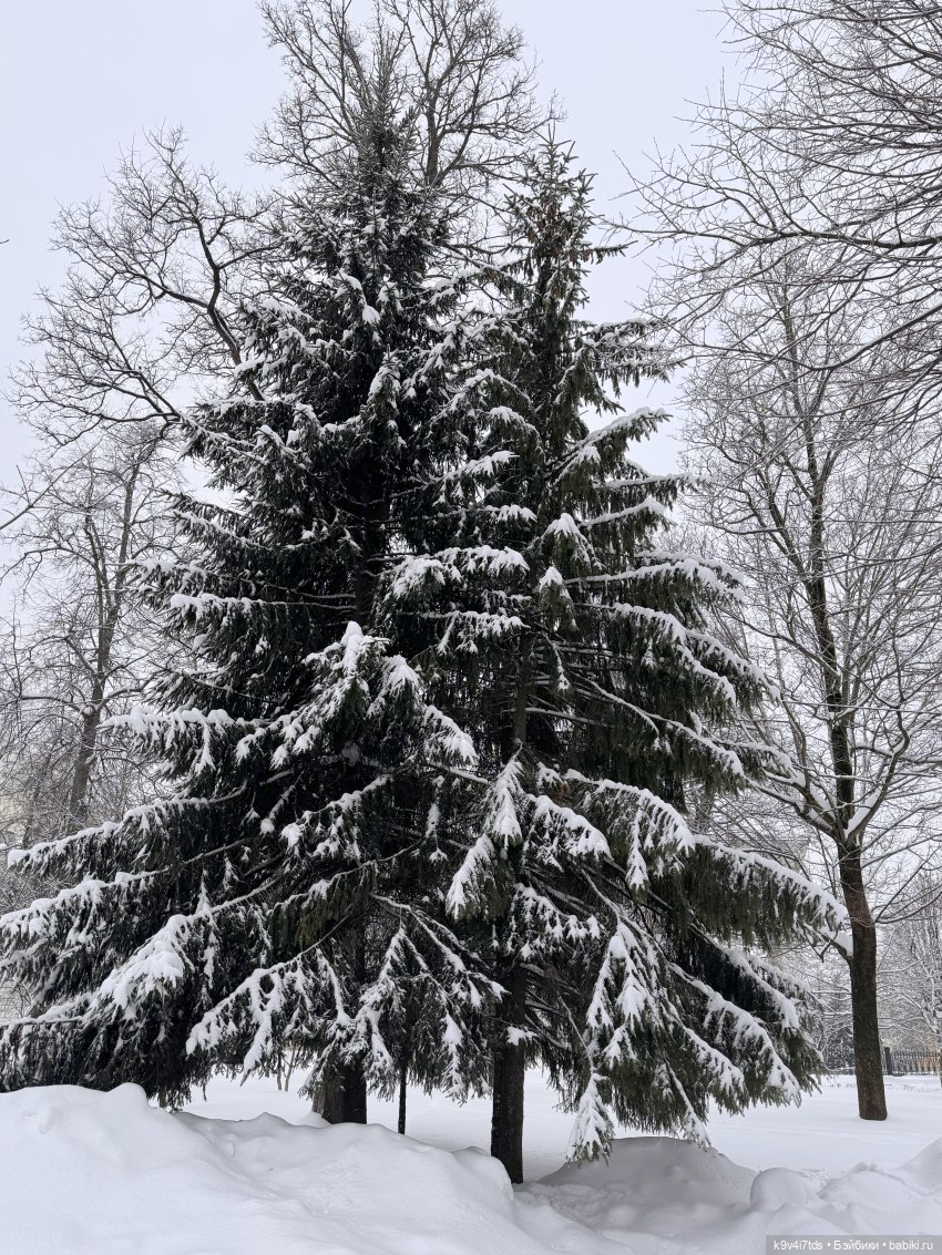 Прогулка с мишками — Домашние фото авторских игрушек: Тедди (фото 8)